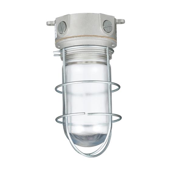 Picture of 100W 120VAC Brushed Aluminum Surface Mount Incandescent Refrigeration Light With Coated Glass Globe And Wire Guard