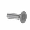 Picture of 1/4" OD x 3/4" L  Stainless Steel Flat Head Rivet Stud