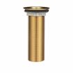 Picture of Encore® Brass Sink Drain 4" L, 1-3/8" Dia Sink Opening, 2" Face Flange, Includes: Locknut & Washer, 1" NPS
