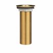 Picture of Encore® Brass Sink Drain 4" L, 1-3/8" Dia Sink Opening, 2" Face Flange, Includes: Locknut & Washer, 1" NPS