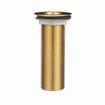 Picture of Encore® Brass Sink Drain 4" L, 1-3/8" Dia Sink Opening, 2" Face Flange, Includes: Locknut & Washer, 1" NPS