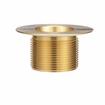 Picture of Encore® Brass Sink Drain 1-1/2" L, 2" Dia Sink Opening, 3" Face Flange, 1-1/2" NPS