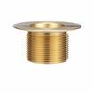 Picture of Encore® Brass Sink Drain 1-1/2" L, 2" Dia Sink Opening, 3" Face Flange, 1-1/2" NPS