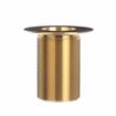 Picture of Encore® Brass Sink Drain 3" L, 2" Dia Sink Opening, 3" Face Flange, 1-1/2" NPS
