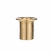 Picture of Encore® Brass Sink Drain 1-1/4" L, 1-1/8" Dia. Sink Opening, 1-1/2" Face Flange, 3/4" NPS