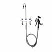 Picture of Encore 8" OC Deck Mount Veterinary Faucet 72" Hose with Heavy Duty Side Sprayer