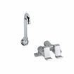 Picture of Encore® Foot Valve with Dual Pedal and Rough Chrome Valve Body, Includes 3-1/2" Swivel Gooseneck Spout