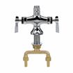 Picture of Encore Brass Chrome Plated Double Pantry Faucet Body Only
