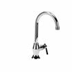 Picture of Encore® Brass Chrome Plated Single Pantry Deck Mount Faucet 6" Rigid Gooseneck  Spout