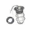 Picture of 100W Surface Mount  Incandescent Hood Light With Clear Coated Tempered Glass Globe And Wire Guard