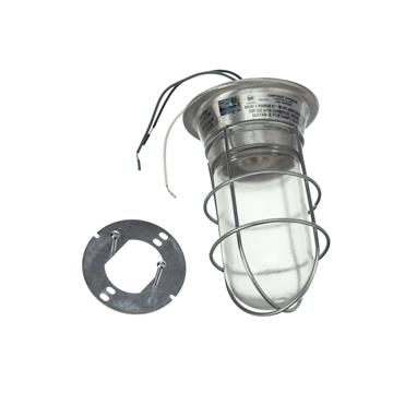 Picture of 100W Surface Mount  Incandescent Hood Light With Clear Coated Tempered Glass Globe And Wire Guard