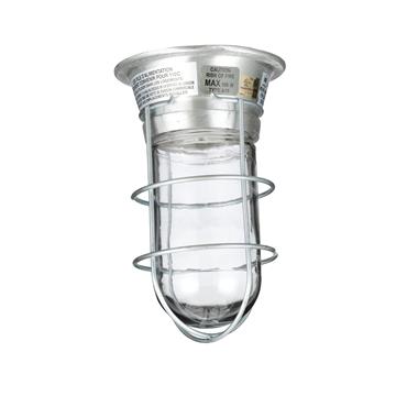 Picture of 100W Surface Mount  Incandescent Hood Light With Tempered Glass Globe, Wire Guard And High Temperature Leads