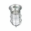 Picture of 100W Surface Mount  Incandescent Hood Light With Tempered Glass Globe, Wire Guard And High Temperature Leads
