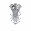 Picture of 12W Surface Mount Natural White LED Hood Light With Clear Coated Tempered Glass Globe And Wire Guard