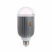 Picture of 12W Natrual White LED Hood Lamp