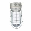Picture of 100W 120VAC Brushed Aluminum Surface Mount Incandescent Refrigeration Light With Coated Glass Globe And Wire Guard