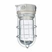 Picture of 100W 120VAC Brushed Aluminum Surface Mount Incandescent Refrigeration Light With Coated Glass Globe And Wire Guard