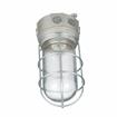 Picture of 100W 120VAC Brushed Aluminum Surface Mount Incandescent Refrigeration Light With Coated Glass Globe And Wire Guard