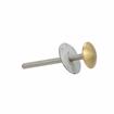 Picture of Stainless Steel Surface Mount Inside Safety Release With Brass Knob For 4" Door Thickness