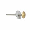 Picture of Stainless Steel Surface Mount Inside Safety Release With Brass Knob For 4" Door Thickness
