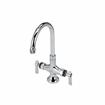 Picture of Encore® Brass Chrome Plated Double Pantry Faucet with 6" Swivel Gooseneck Spout and Lever Handles, Retail Packaging