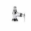 Picture of Encore® Brass Chrome Plated Single Pantry Deck Mount Faucet Body Only (Retail Packaging)