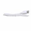 Picture of 72"L AC Power Cord With 3-Prong Plug For LED-RB Series Lights
